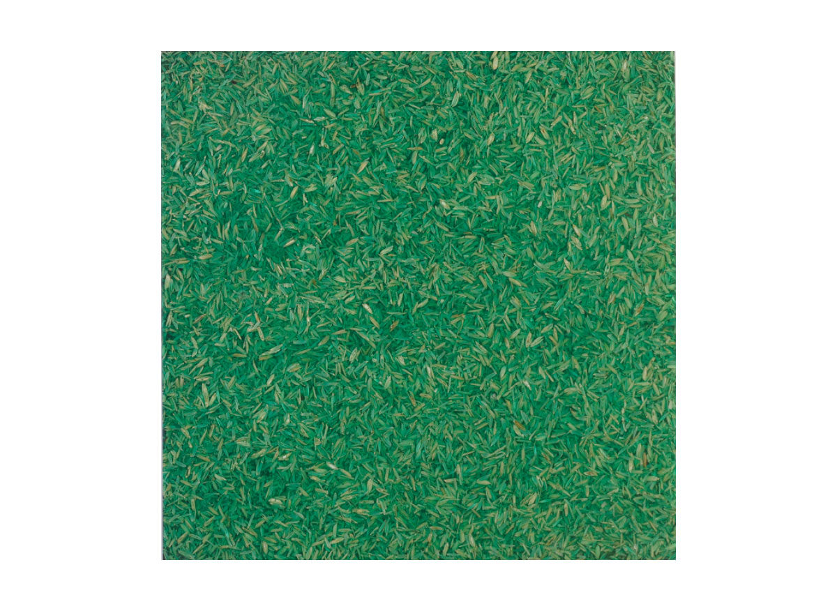 HMT Sahara Gabon Green Polished Doğal Laminat Panel